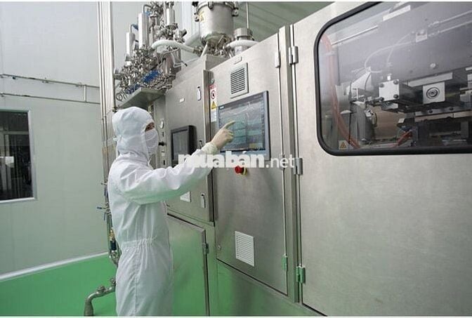 NHÂN VIÊN SẢN XUẤT - THƯỞNG 2TR - LÚA TUẦN