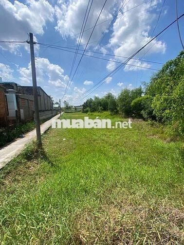 CHÍNH CHỦ BÁN 1.042m² ĐẤT 2 MẶT TIỀN ĐT 839 - NGANG 14.16M, SỔ SẴN