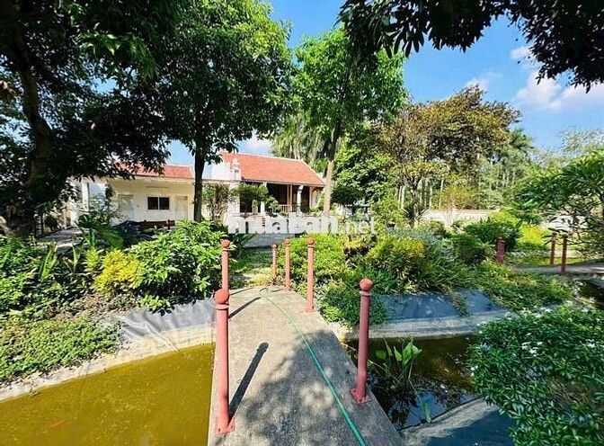 Đất đẹp khuôn viên nhà vườn suối sếu - nhuận trạch - lương sơn