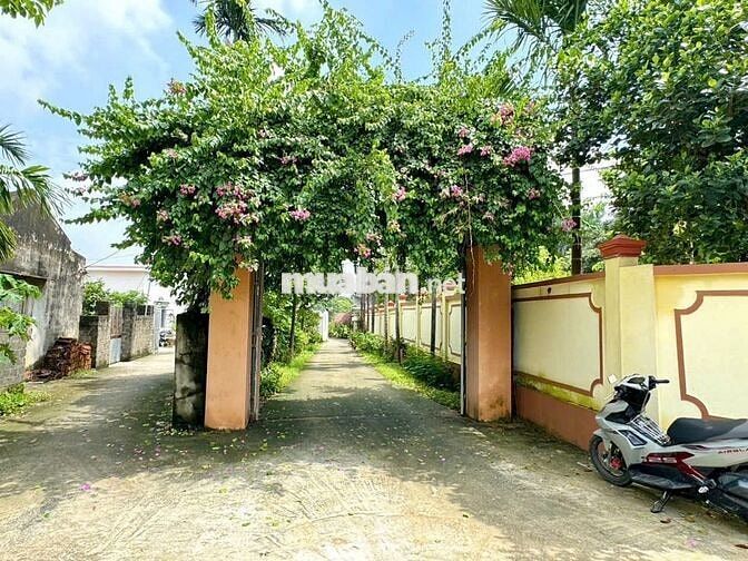 Đất đẹp khuôn viên nhà vườn suối sếu - nhuận trạch - lương sơn