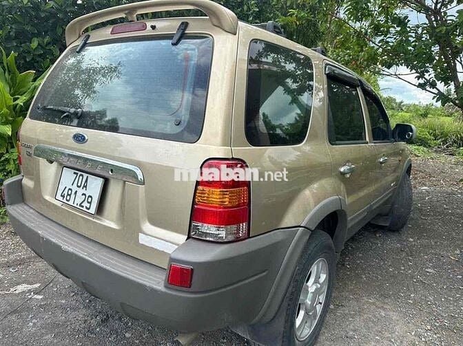Ford Escape 2003 Vàng cát