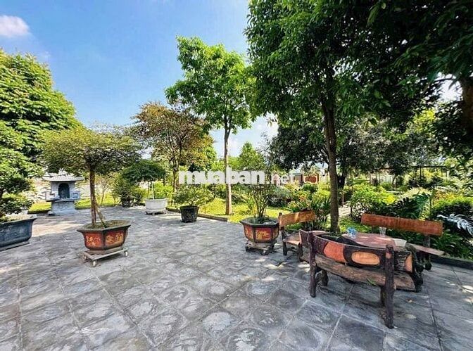 Đất đẹp khuôn viên nhà vườn suối sếu - nhuận trạch - lương sơn