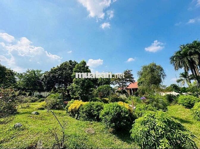 Đất đẹp khuôn viên nhà vườn suối sếu - nhuận trạch - lương sơn