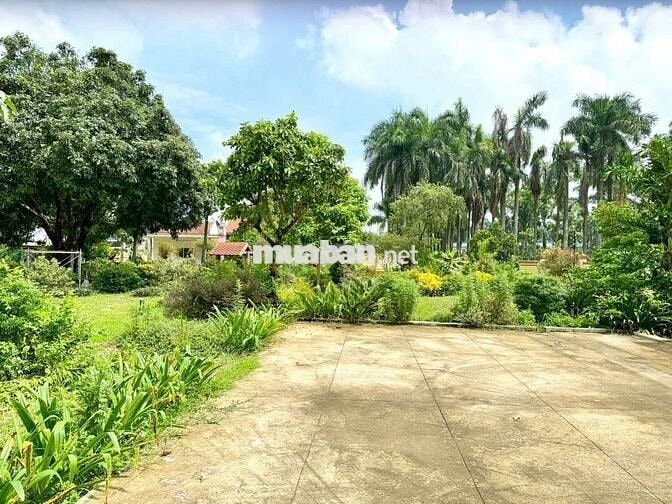 Đất đẹp khuôn viên nhà vườn suối sếu - nhuận trạch - lương sơn