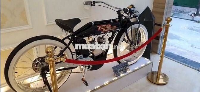 Mobylette 50cc Nhiều màu
