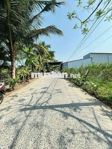 BÁN Đất Vườn Làm Biệt Thự MiNi, Cầu Gạch Sung, Nhơn Nghĩa Phong Điền