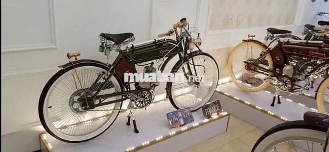 Mobylette 50cc Nhiều màu