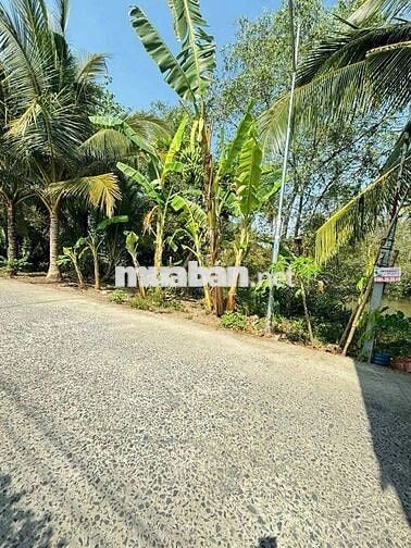 BÁN Đất Vườn Làm Biệt Thự MiNi, Cầu Gạch Sung, Nhơn Nghĩa Phong Điền