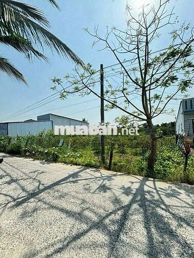 BÁN Đất Vườn Làm Biệt Thự MiNi, Cầu Gạch Sung, Nhơn Nghĩa Phong Điền