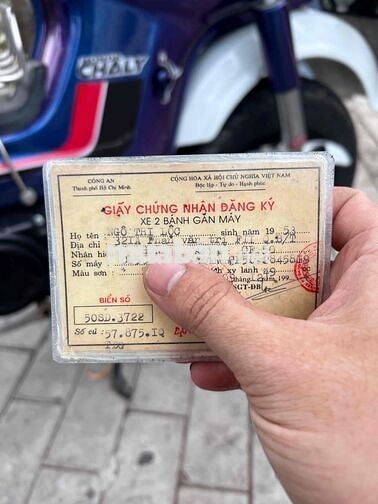 Honda Chaly CF50 Xanh, Trắng