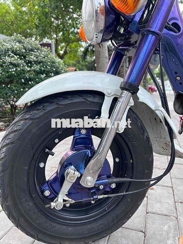 Honda Chaly CF50 Xanh, Trắng