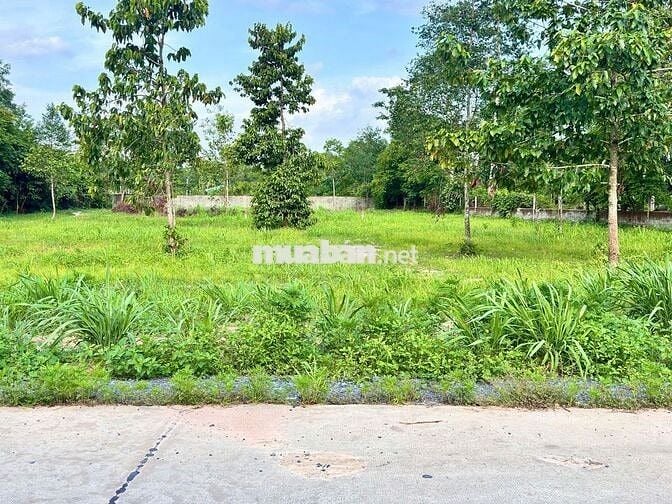 Chủ gửi  500m2(10x50) cách 200m ra Nguyễn Văn Khạ, Tân An Hội, Củ Chi