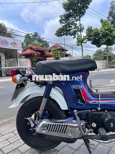 Honda Chaly CF50 Xanh, Trắng