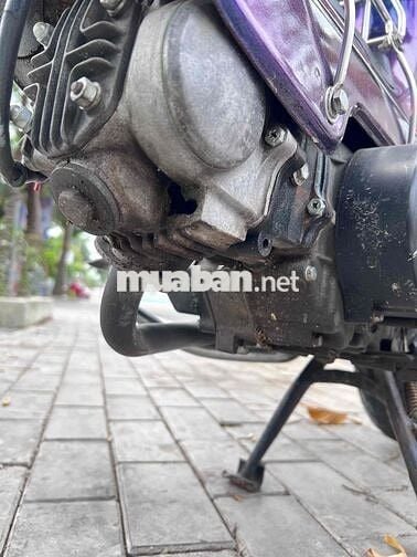 Honda Chaly CF50 Xanh, Trắng