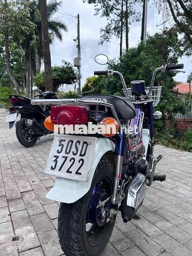 Honda Chaly CF50 Xanh, Trắng