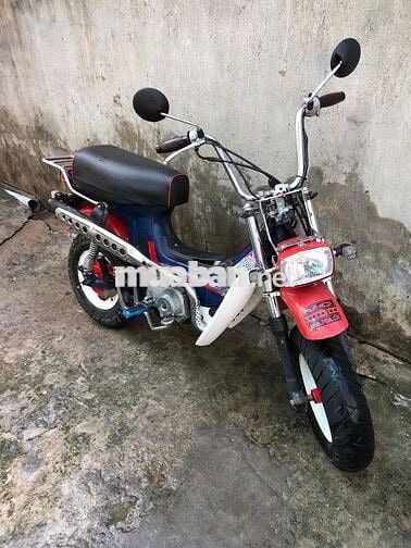 Honda Chaly 81 Đỏ Xanh Trắng