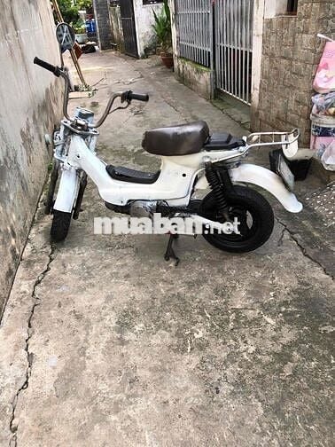 Honda Chaly 79 Trắng