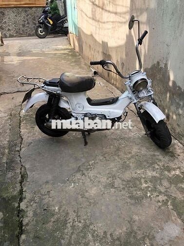 Honda Chaly 79 Trắng