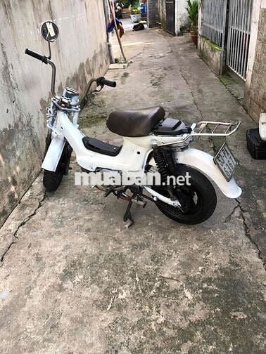 Honda Chaly 79 Trắng