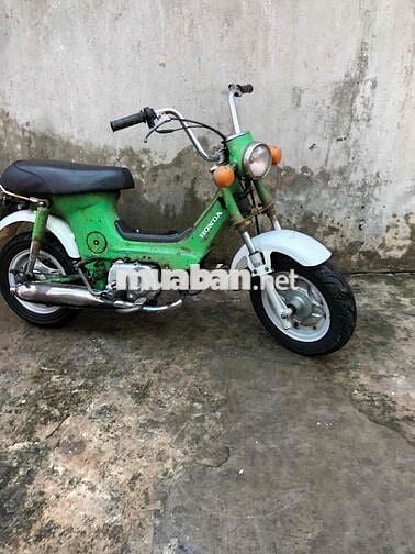 Honda Chaly 78 Xanh lá Nhật Bản