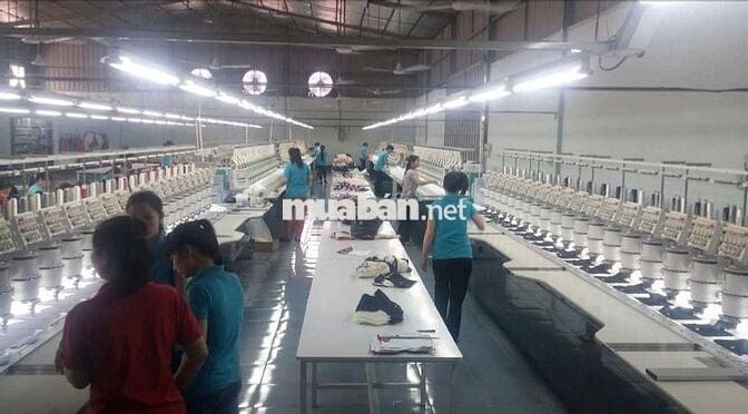 KCS KIỂM HÀNG _ ĐỨNG MÁY LƯƠNG TUẦN 