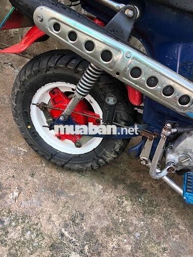 Honda Chaly 81 Đỏ Xanh Trắng