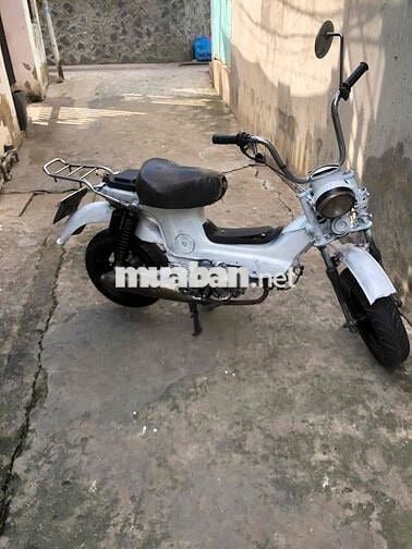 Honda Chaly 79 Trắng