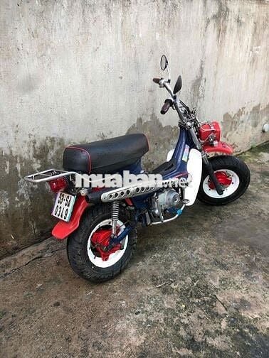 Honda Chaly 81 Đỏ Xanh Trắng