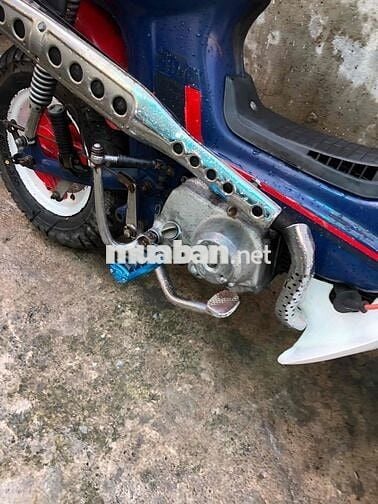 Honda Chaly 81 Đỏ Xanh Trắng