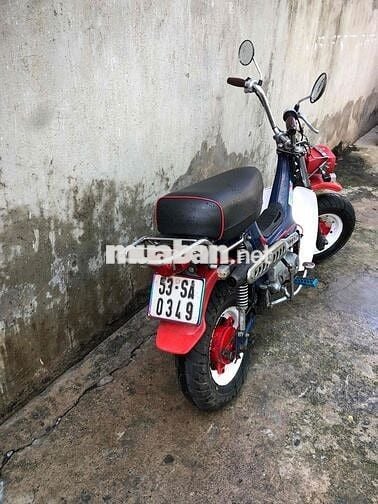 Honda Chaly 81 Đỏ Xanh Trắng