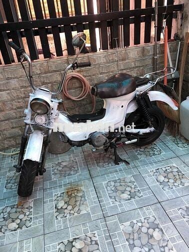 Honda Chaly 79 Trắng