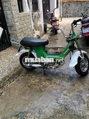 Honda Chaly 78 Xanh lá Nhật Bản