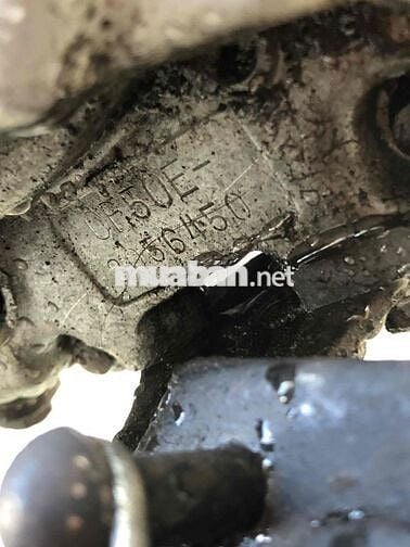 Honda Chaly 81 Đỏ Xanh Trắng