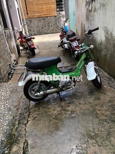 Honda Chaly 78 Xanh lá Nhật Bản