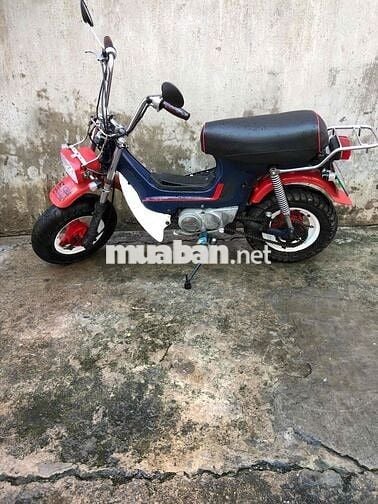 Honda Chaly 81 Đỏ Xanh Trắng