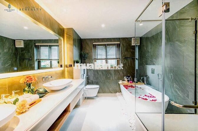 CK nhanh 9 tỷ cho căn Villa 5PN sát biển VT, sẵn HĐ thuê 150tr/tháng