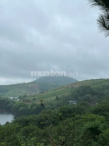  đất view hồ lộc ngãi săn mây nghỉ dưỡng lý tưởng
