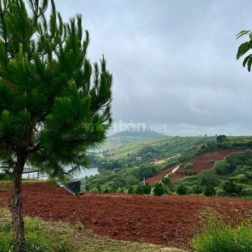  đất view hồ lộc ngãi săn mây nghỉ dưỡng lý tưởng