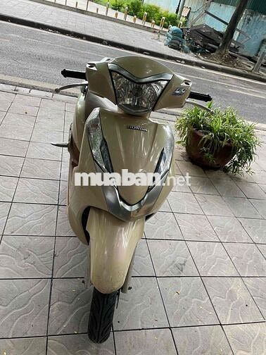 Honda Lead Vàng kem