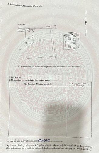Chính chủ bán gấp, đất 1170m2 ,Tân Nhựt (sẵn 170m2 thổ cư)