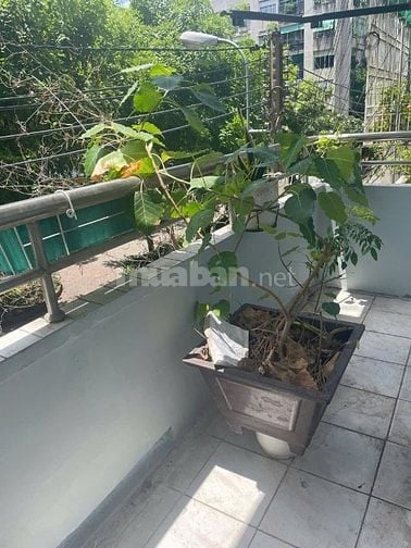 Cho thuê CHCC Binh Thới, P8, Q11/ Lầu 1 Lô C, nhà 17 Lãnh Binh Thăng