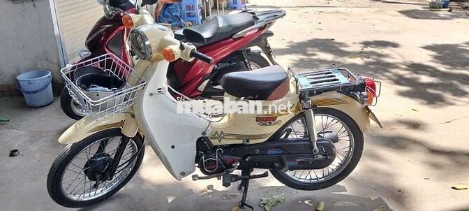 Hyosung Cub Japan 2020 Vàng 49cc
