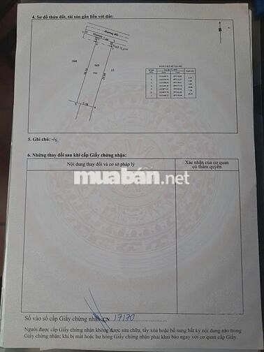  THỔ CƯ 248M² -MT 7.6M NHÁNH HÀ DUY PHIÊN – BÌNH MỸ CỦ CHI-GIÁ  3.8 TỶ