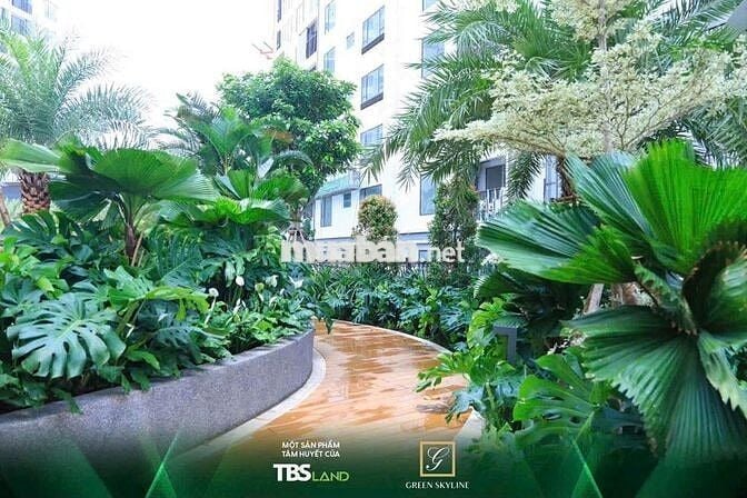 Căn hộ xanh Green Skyline - Vị trí đắc địa - Giá thắt chặt từ 55tr/m²
