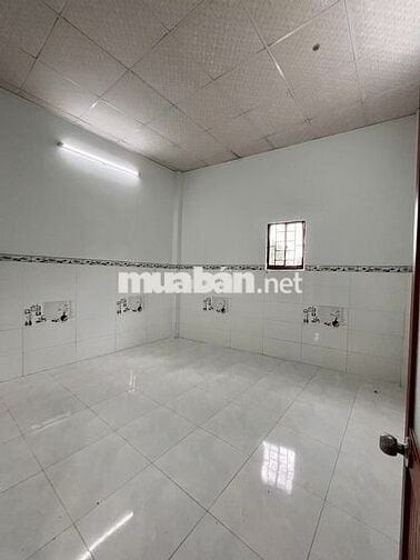Bán Nhà Chính Chủ Nguyễn Cửu Phú Bình Tân - 4x13m - SHR - Chỉ 2,9 Tỷ