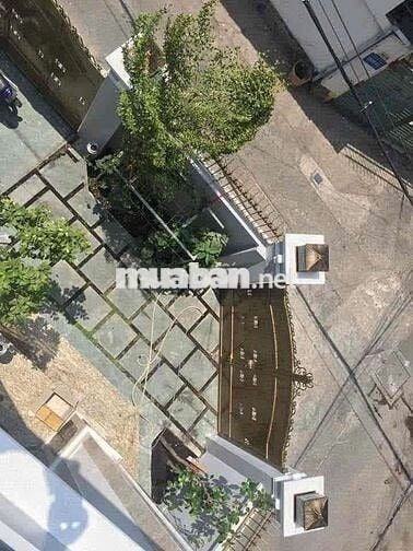 nhà biệt thự Q11 Ngang lớn giá 37tr