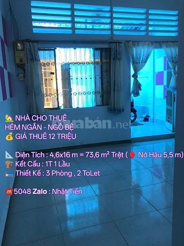 CHO THUÊ NHÀ | NGÔ BỆ - P 13 . TÂN BÌNH
