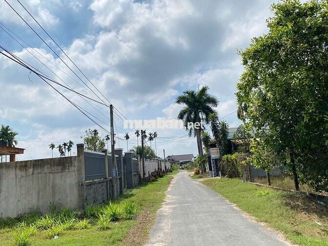 Chủ Gởi Lô Đất Kp An Đước, An Tịnh, Tây Ninh 