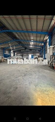 xưởng cho thuê Đức Hòa Long An DT 2500m giá 120tr