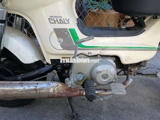 Honda Chaly 1984 Trắng